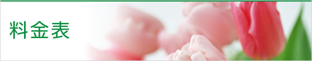 料金表