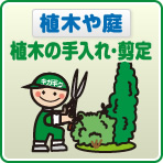 植木のお手入れや剪定