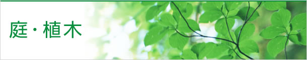庭・植木