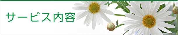 サービス内容